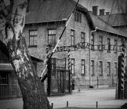 Auschwitz  & Salt Mine One Day Tour