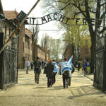 Auschwitz Tour Group Size