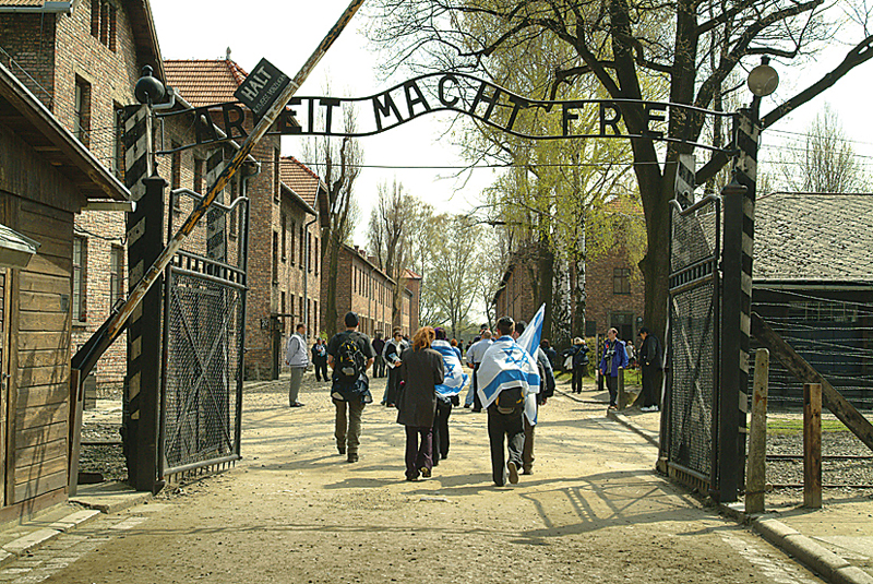 auschwitz tour group size