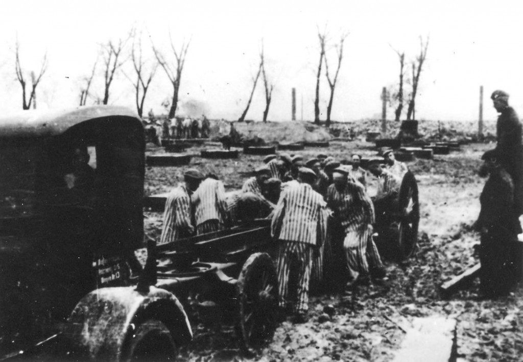 Auschwitz living conditions