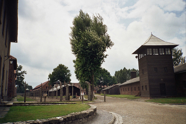 Virtual auschwitz walk