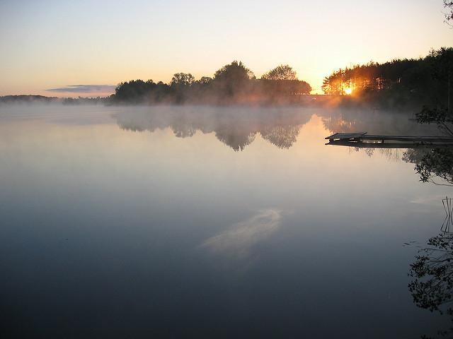 bory tucholskie