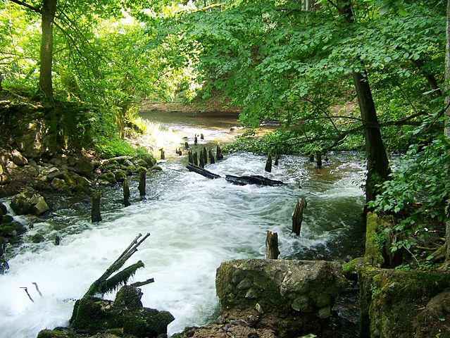 Drawa National Park